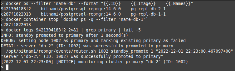 Second PostreSQL server being promoted to primary